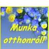 Keressen plusz p�nzt otthonr�l